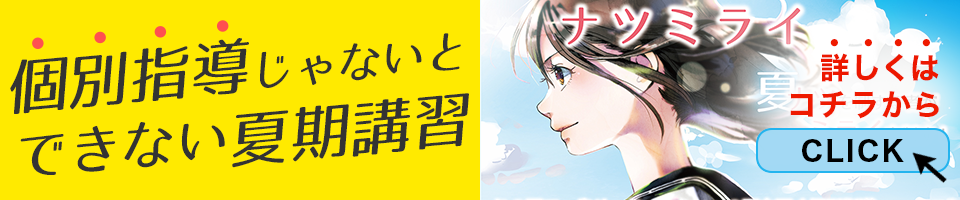 個別指導じゃないとできない夏期講習